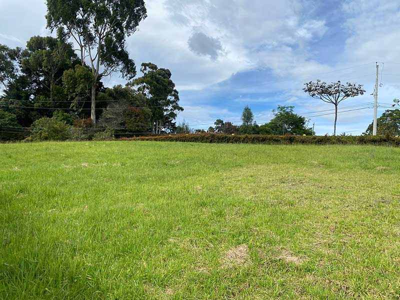 property in medellin colombia