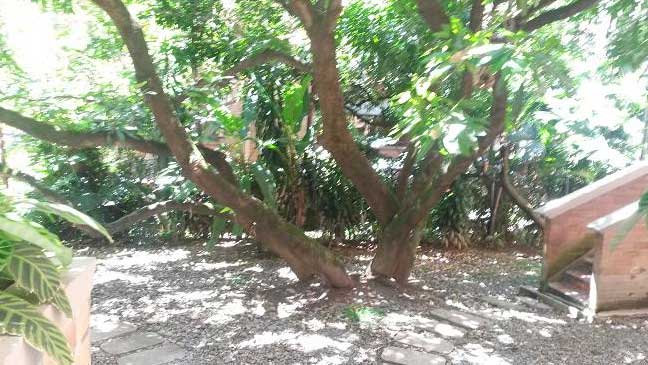 Condominium with great location