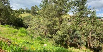 2 acres of land for sale