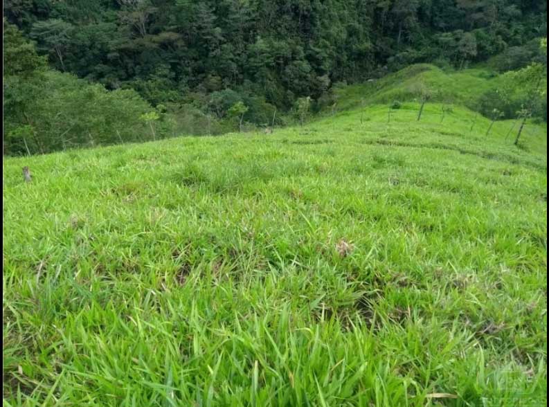 agricultural farm for Sale close Medellin