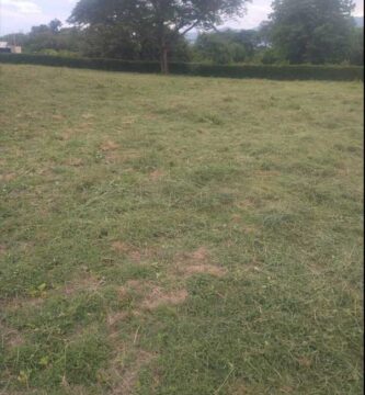 land for sale in colombia