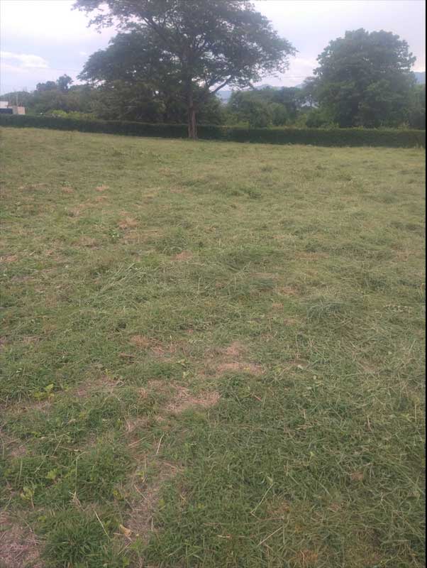 land for sale in colombia