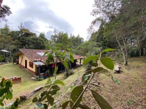 homes for sale in medellin colombia